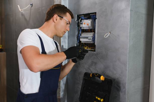 Best Electrician for Home Renovation  in Petoskey, MI