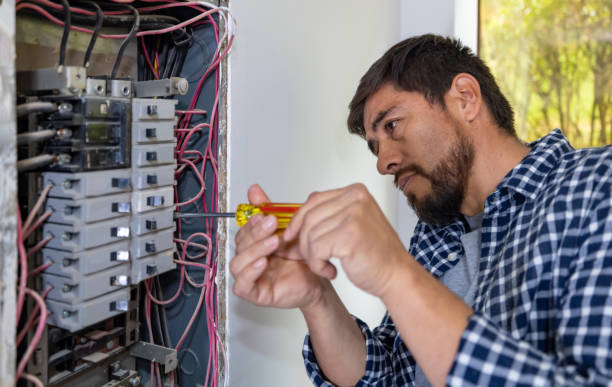 Best Commercial Electrician Services  in Petoskey, MI